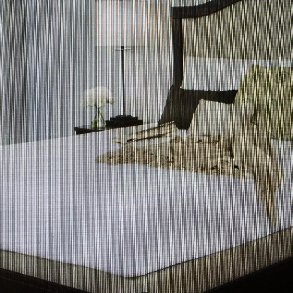 PROTECT A BED Mattress protector TWIN XL